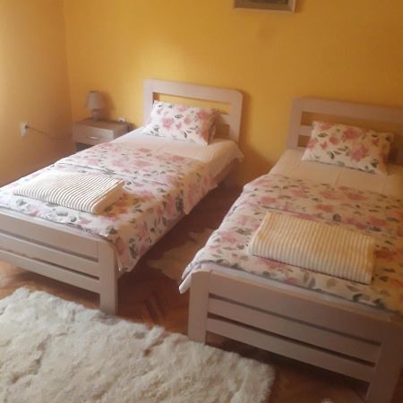 Apartman "Dom Stankovica" Пірот Екстер'єр фото